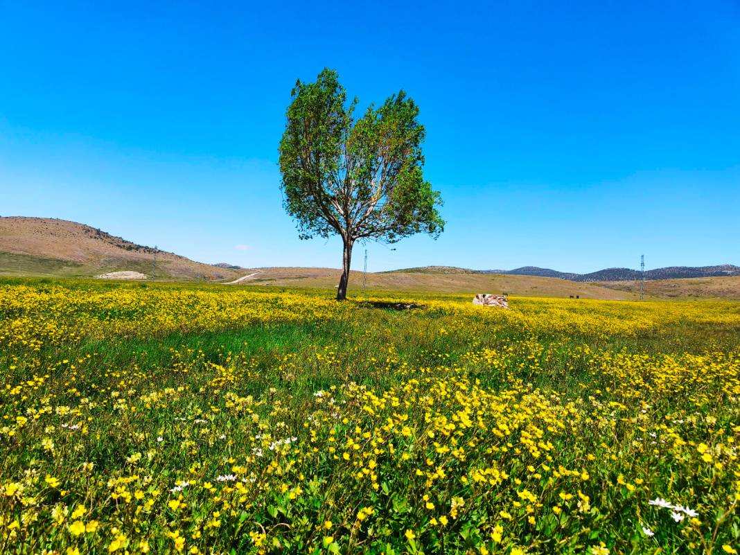 Konya’nın cennet köşesi baharı böyle karşıladı 1